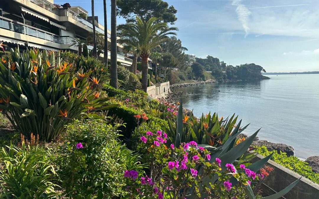 Plantation de fleur et arbuste en bord de mer