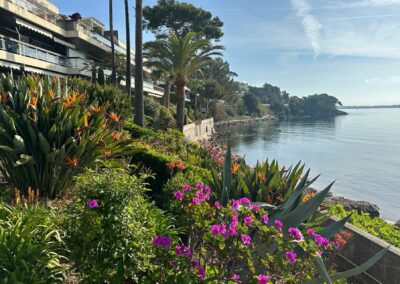 Plantation de fleur et arbuste en bord de mer