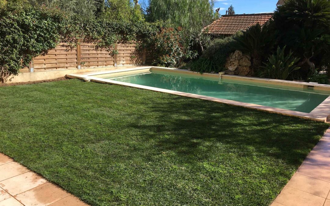 Entretien de jardin aux abords de piscine